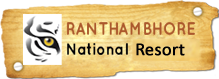 Ranthambhore